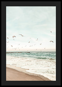 Poster med ett fotografi på måsar som flyger över en strand-4
