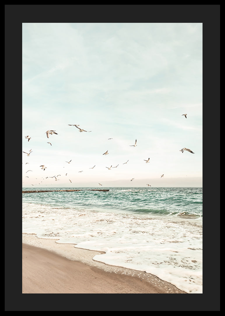 Poster med ett fotografi på måsar som flyger över en strand-12