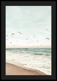 Poster met een foto van meeuwen die over een strand vliegen-4