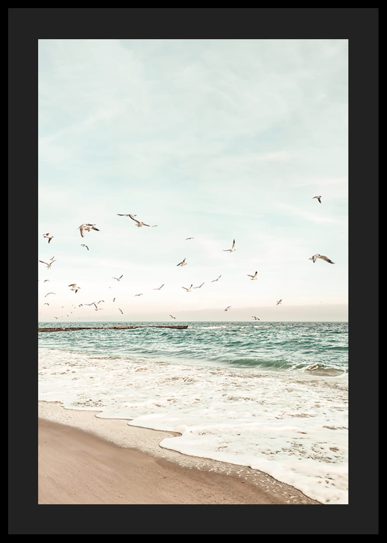 Poster met een foto van meeuwen die over een strand vliegen-12