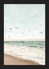 Poster med ett fotografi på måsar som flyger över en strand-5