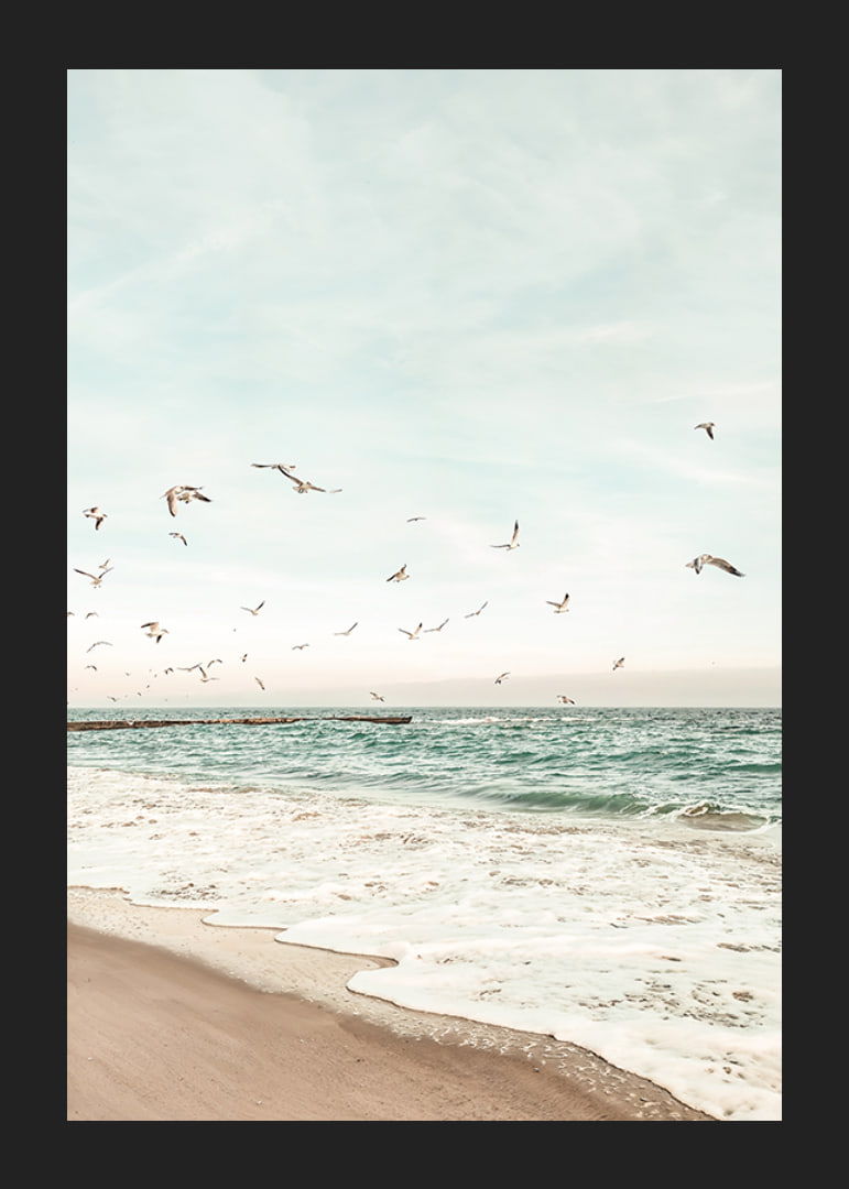 Poster med ett fotografi på måsar som flyger över en strand-12