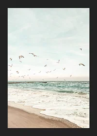 Poster with a photograph of seagulls flying over a beach-5
