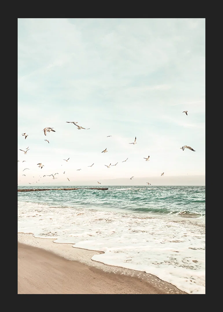 Poster with a photograph of seagulls flying over a beach-12