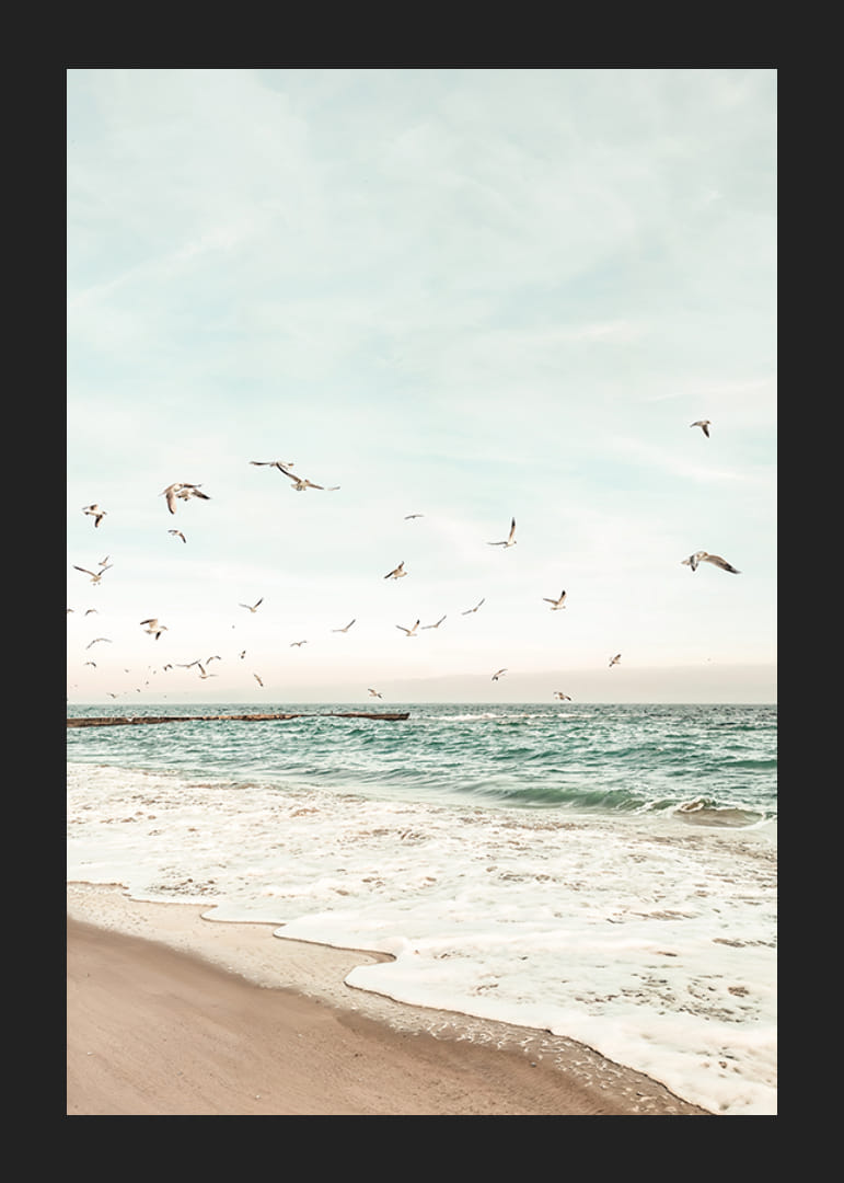 Poster met een foto van meeuwen die over een strand vliegen-12