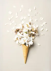 Poster with a photograph of white flower petals in an ice cream cone-7
