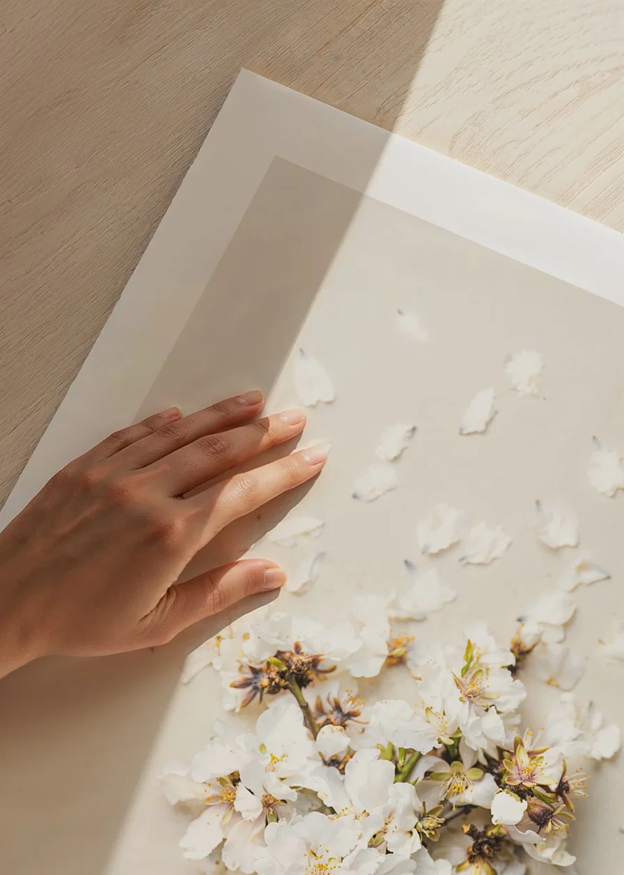 Poster with a photograph of white flower petals in an ice cream cone-12