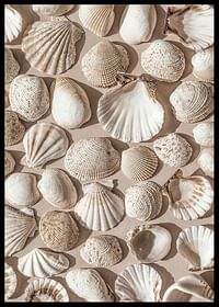 Poster met een foto op een mooie collage met prachtige witte schelpeilanden-2
