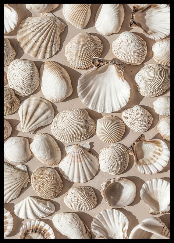 Poster met een foto op een mooie collage met prachtige witte schelpeilanden-12
