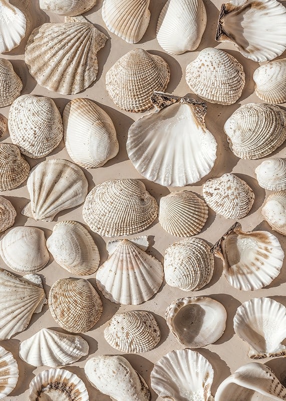 Poster with a photograph on a beautiful collage with beautiful white shell islands-12