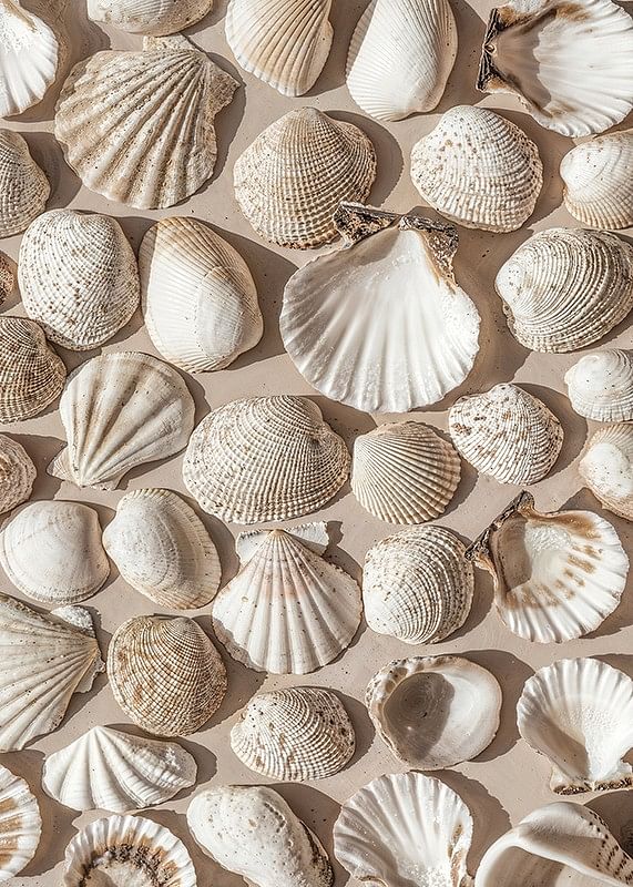 Poster met een foto op een mooie collage met prachtige witte schelpeilanden-12