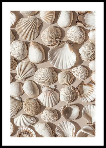 Poster Coastal Seashell Medley