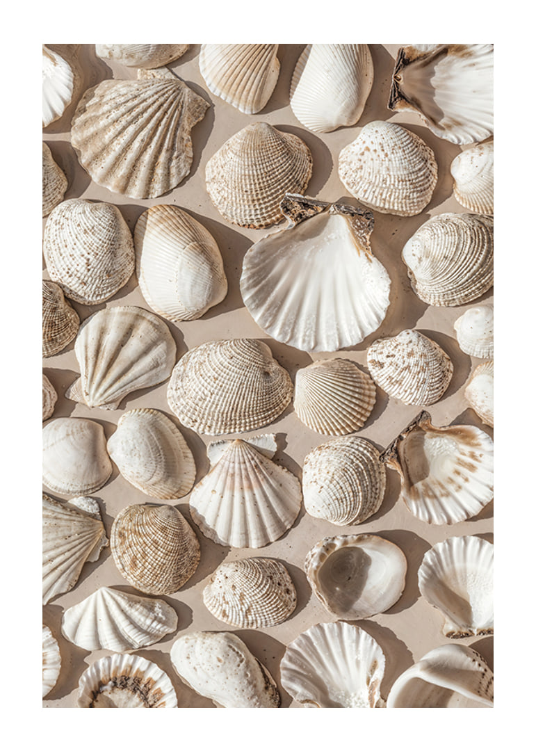 Poster with a photograph on a beautiful collage with beautiful white shell islands-12