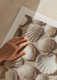 Poster with a photograph on a beautiful collage with beautiful white shell islands-9