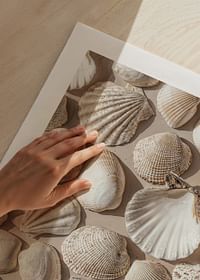 Poster met een foto op een mooie collage met prachtige witte schelpeilanden-5