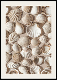 Poster with a photograph on a beautiful collage with beautiful white shell islands-2