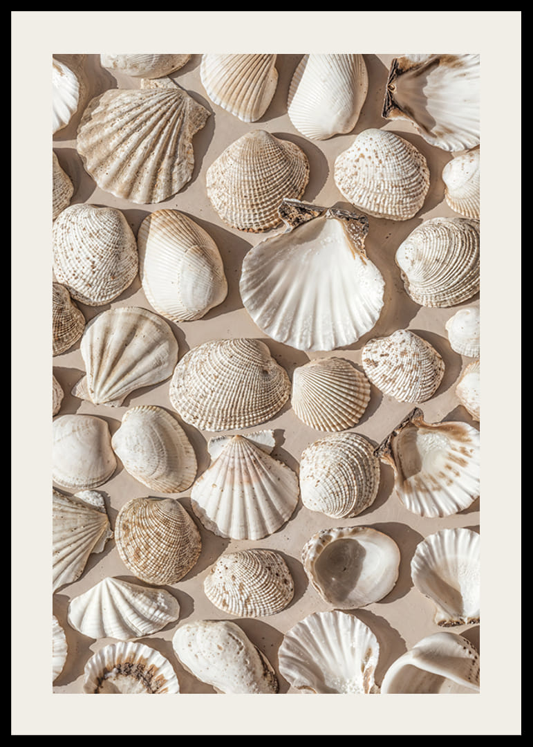 Poster with a photograph on a beautiful collage with beautiful white shell islands-12