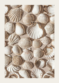 Poster with a photograph on a beautiful collage with beautiful white shell islands-3