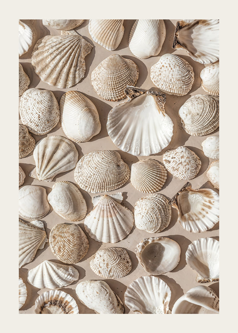 Poster with a photograph on a beautiful collage with beautiful white shell islands-12
