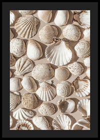 Poster with a photograph on a beautiful collage with beautiful white shell islands-4