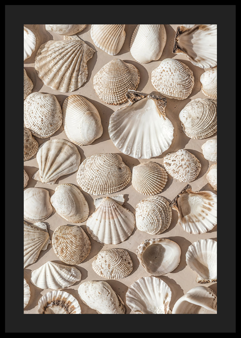 Poster with a photograph on a beautiful collage with beautiful white shell islands-12