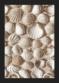 Poster with a photograph on a beautiful collage with beautiful white shell islands-5