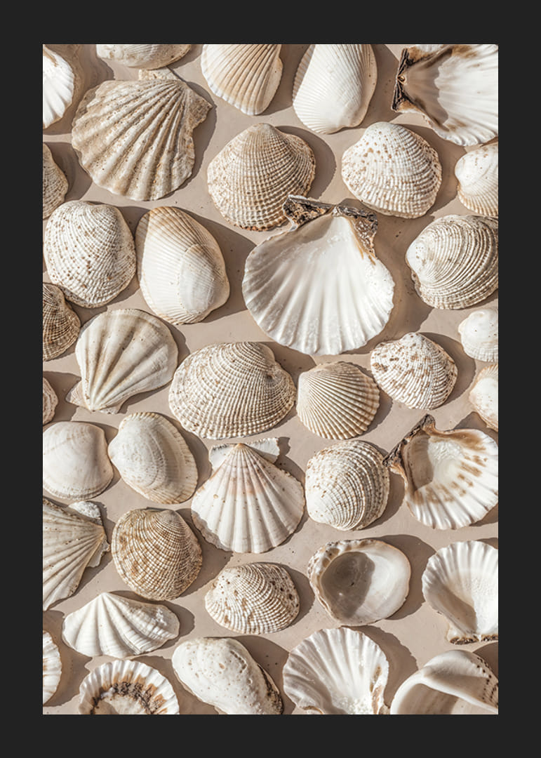 Poster with a photograph on a beautiful collage with beautiful white shell islands-12