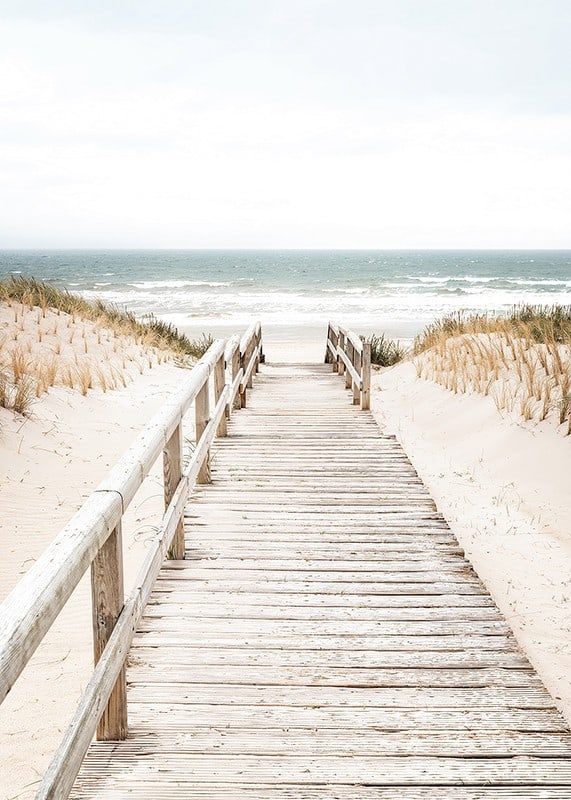 Poster with a photograph on a wooden plank among sand dunes with the sea in the background-12