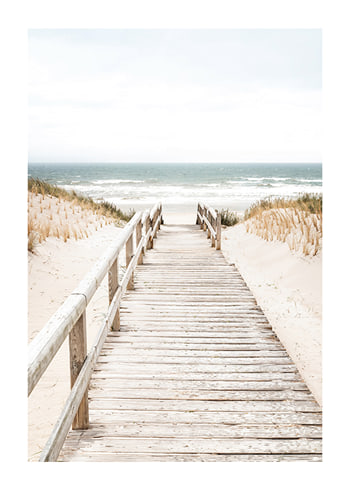 Poster Oceanfront Pathway