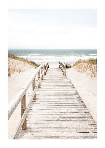 Poster Oceanfront Pathway