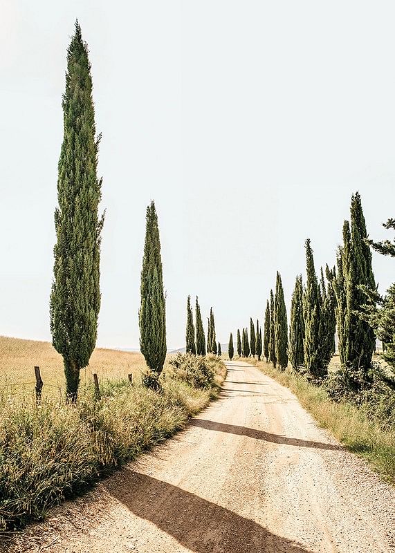 Poster cu o fotografie a unei idile toscane-12