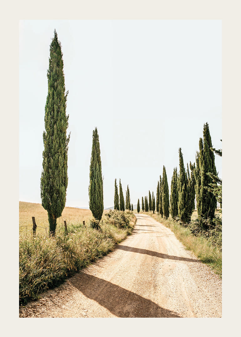 Poster with a photograph of a Tuscan idyll-12