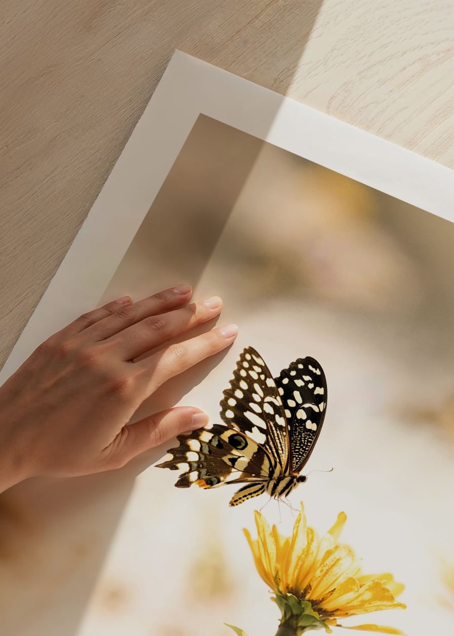 Poster with a photograph of a butterfly and beautiful yellow flowers-12
