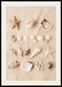 Poster with a collage of beautiful shells-2