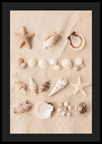 Poster with a collage of beautiful shells-4