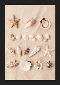 Poster with a collage of beautiful shells-5