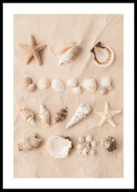Poster with a collage of beautiful shells-0