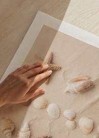 Affiche avec un collage de beaux coquillages-5