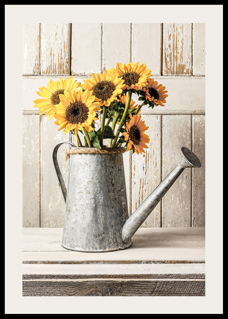 Poster con la fotografia di un vecchio annaffiatoio con girasoli-12