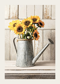 Poster with a photograph of an old watering can with sunflowers-3
