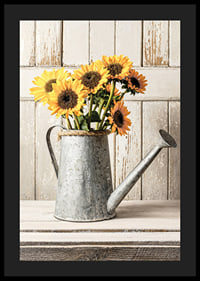 Poster with a photograph of an old watering can with sunflowers-4
