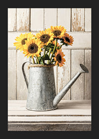 Poster with a photograph of an old watering can with sunflowers-5