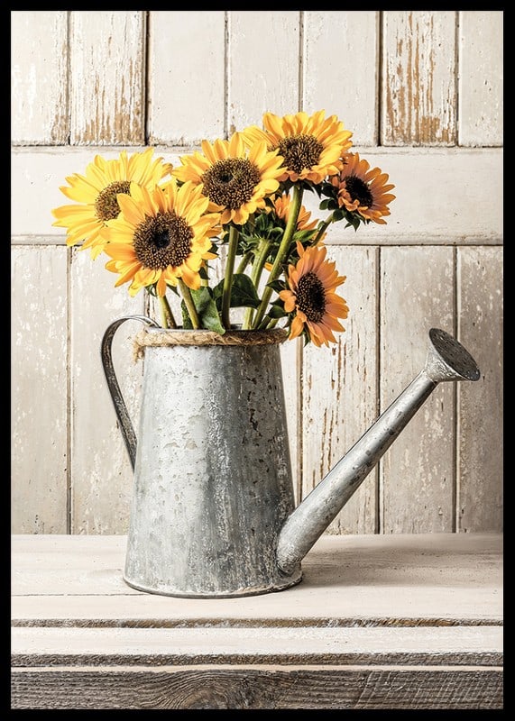 Poster with a photograph of an old watering can with sunflowers-12