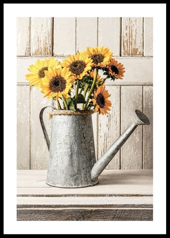 Poster Rustic Sunflowers