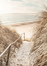Poster cu o fotografie a unei cărări nisipoase prin dune-3