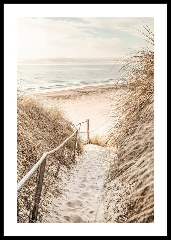 Poster cu o fotografie a unei cărări nisipoase prin dune-12