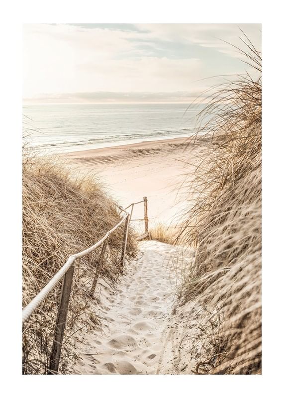 Poster cu o fotografie a unei cărări nisipoase prin dune-12