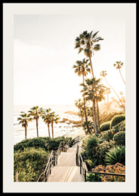 Poster with a photograph of palm trees and sea bathed in a golden light.-2