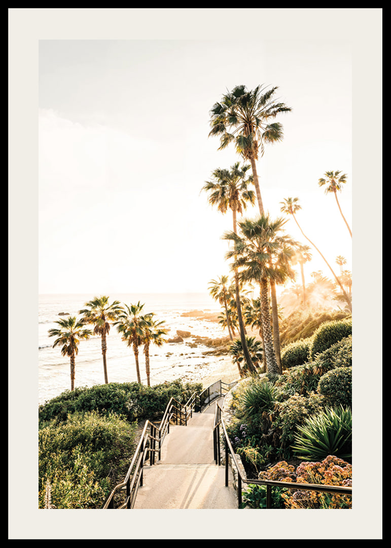 Poster with a photograph of palm trees and sea bathed in a golden light.-12
