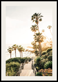 Plakat ze zdjęciem palm i morza skąpanego w złotym świetle.-2